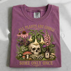 All Plants are Edible T-Shirt - Berry / S - T-Shirt