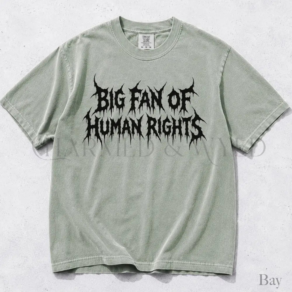Big Fan of Human Rights Punk Comfort Colors T-Shirt - Bay / S - T-Shirt