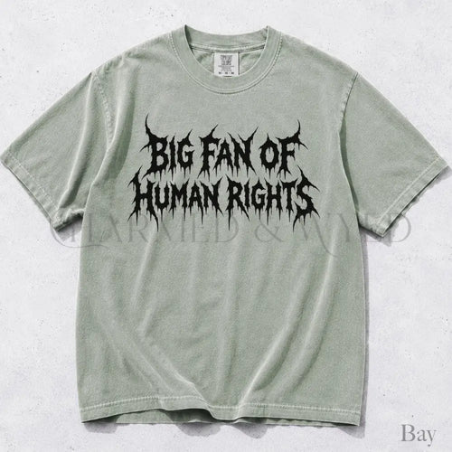 Big Fan of Human Rights Punk Comfort Colors T-Shirt - Bay / S - T-Shirt