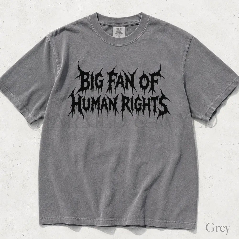 Big Fan of Human Rights Punk Comfort Colors T-Shirt - Grey / S - T-Shirt