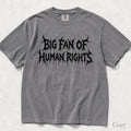 Big Fan of Human Rights Punk Comfort Colors T-Shirt - Grey / S - T-Shirt