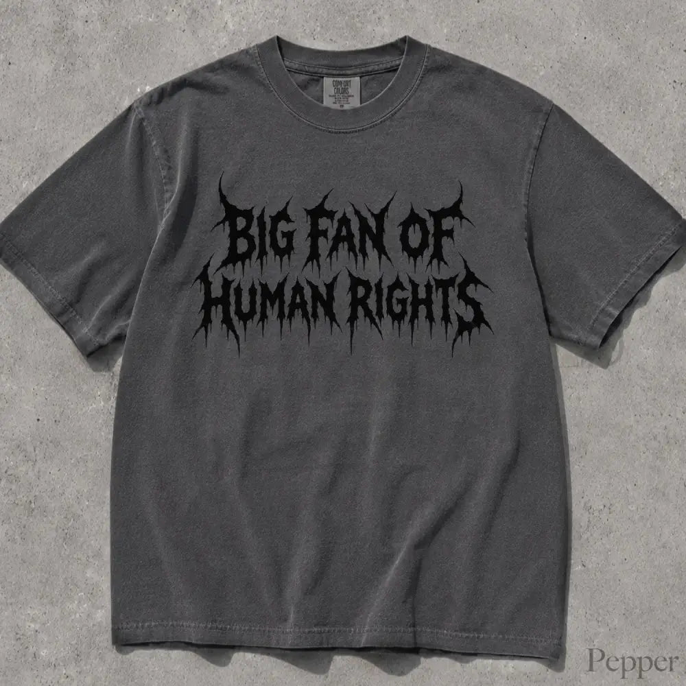 Big Fan of Human Rights Punk Comfort Colors T-Shirt - Pepper / S - T-Shirt