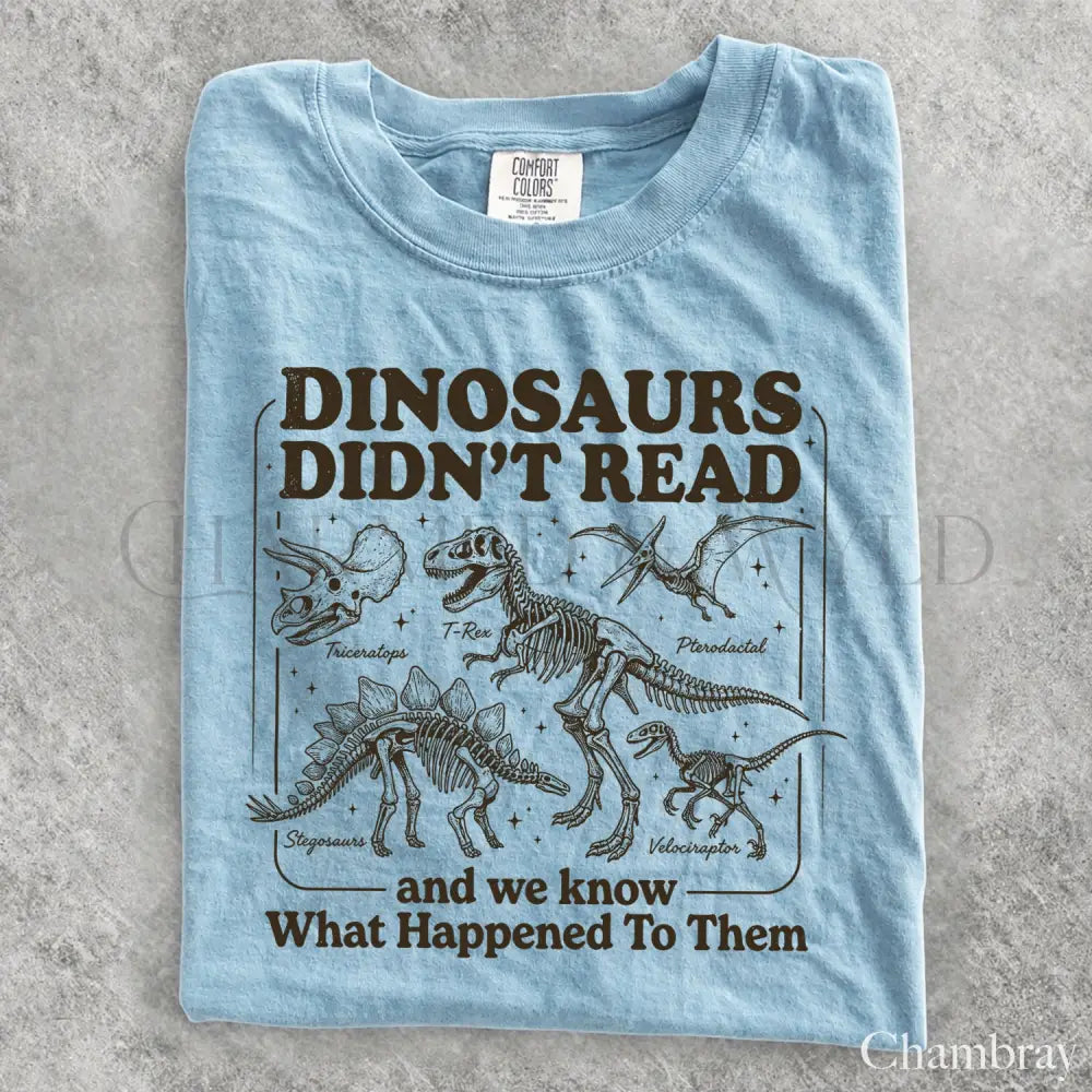 Dinosaurs Didnt Read Comfort Colors T-Shirt - Chambray / S - T-Shirt