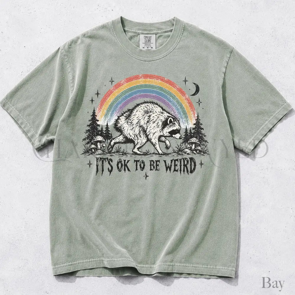 Raccoon Jimothy Its Ok to Be Weird Comfort Colors T-Shirt - Bay / S - T-Shirt