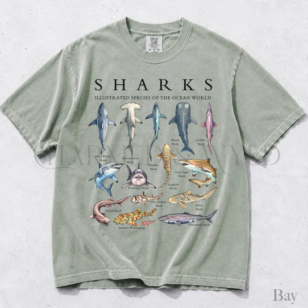 Shark Chart Comfort Colors T-Shirt - Bay / S - T-Shirt