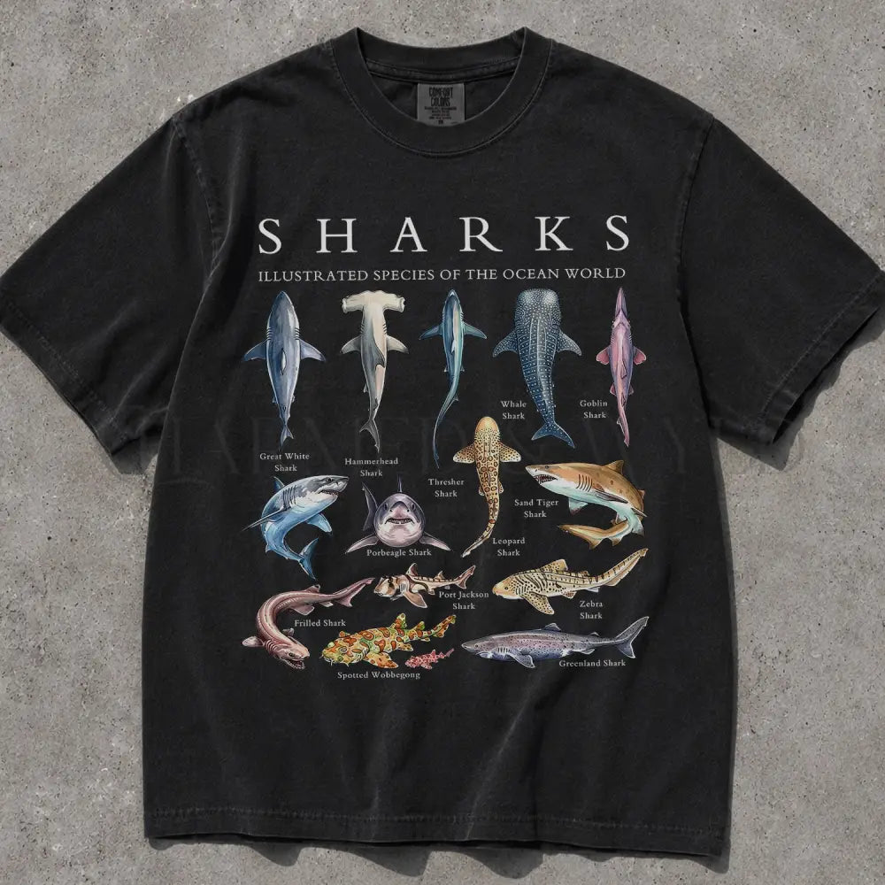 Shark Chart Comfort Colors T-Shirt - Black / S - T-Shirt