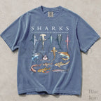 Shark Chart Comfort Colors T-Shirt - Blue Jean / S - T-Shirt