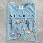 Shark Chart Comfort Colors T-Shirt - Chambray / S - T-Shirt