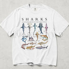 Shark Chart Comfort Colors T-Shirt - White / S - T-Shirt