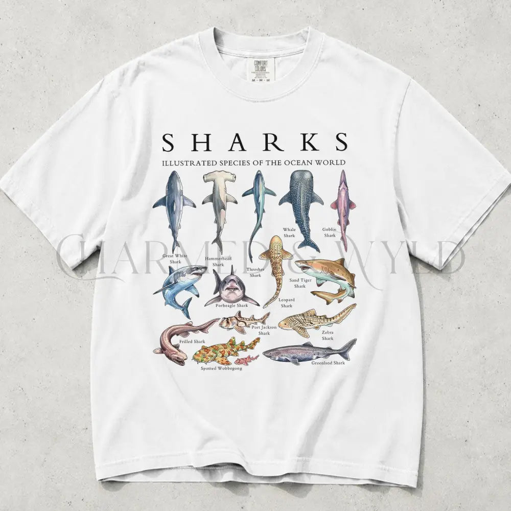 Shark Chart Comfort Colors T-Shirt - White / S - T-Shirt