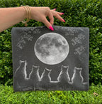 The Moon Watchers Cat T-Shirt