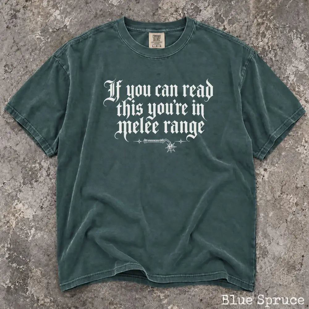 You’re in Melee Range Comfort Colors Shirt - Blue Spruce / S - T-Shirt