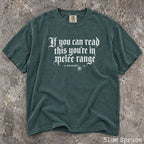 You’re in Melee Range Comfort Colors Shirt - Blue Spruce / S - T-Shirt