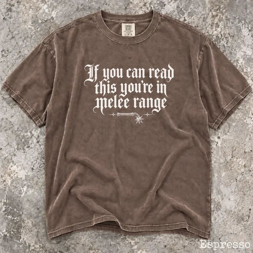 You’re in Melee Range Comfort Colors Shirt - Espresso / S - T-Shirt