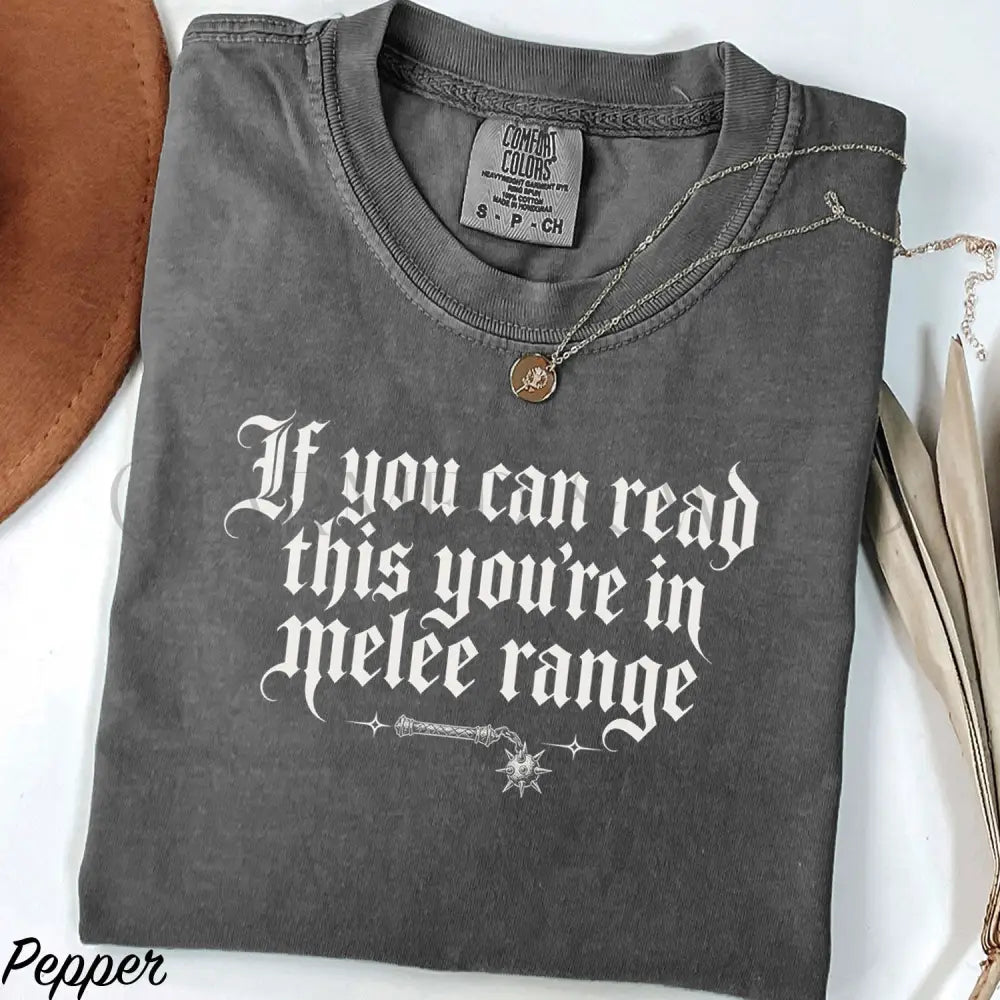 You’re in Melee Range Comfort Colors Shirt - Pepper / S - T-Shirt